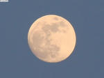 20120603-02.JPG