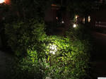20120714-01.JPG