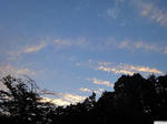20120818-05.JPG