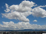 20120819-01.JPG