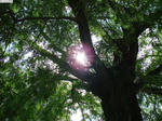 20120918-07.JPG
