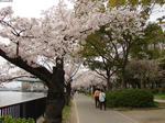 20130406-02.JPG