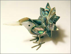 shellbird.jpg