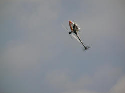 SANY0095-small.JPG