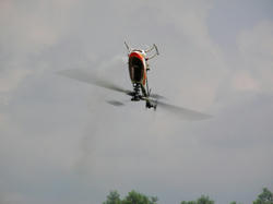 SANY0096-small.JPG