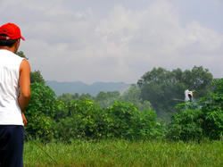 SANY0097-small.JPG