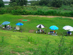 SANY0109-small.JPG