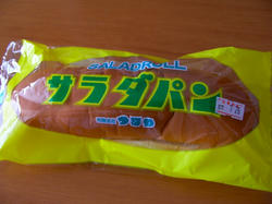 SANY00701-small.JPG