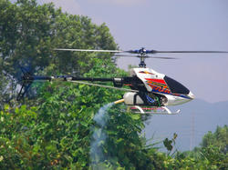 SANY0185-small.JPG