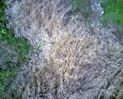 PICT0105-blog.jpg