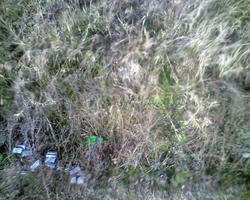 PICT0112-blog.jpg