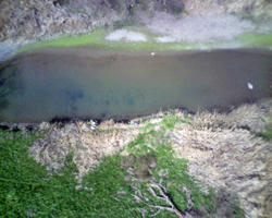 PICT0155-blog.jpg