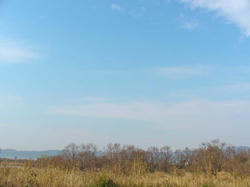 SANY0461.jpg