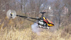 SANY0464-blog.jpg