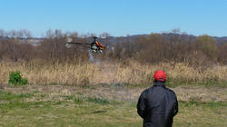SANY0465-blog.jpg