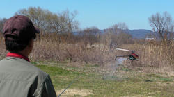 SANY0470-blog.jpg