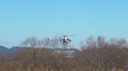 SANY0489-blog.jpg