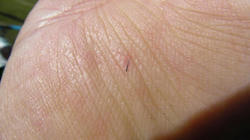 SANY0493-blog.jpg