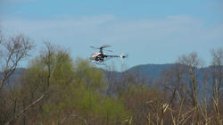 SANY0458-blog.jpg