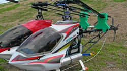 SANY0038.jpg