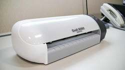 SANY0187.jpg