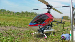 SANY0200.jpg