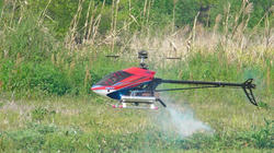 SANY0202.jpg
