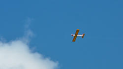 SANY0832.jpg