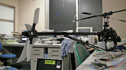 SANY0915.jpg