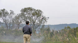 SANY0922-blog.jpg