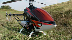 SANY0984.jpg