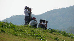 SANY1027-blog.jpg