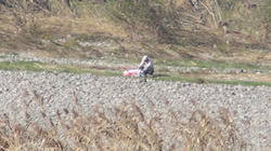 SANY1030-blog.jpg
