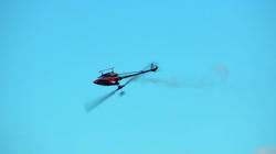 SANY1148-blog.jpg