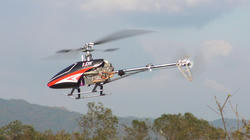 SANY1185.jpg