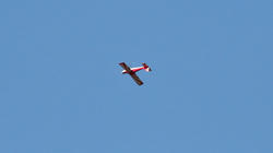 IMG_6181.jpg