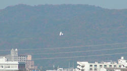 SANY1258.jpg