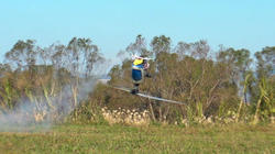 SANY1263.jpg
