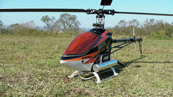 SANY1266.jpg