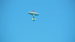 SANY1287-blog.jpg