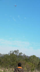 SANY1293-blog.jpg