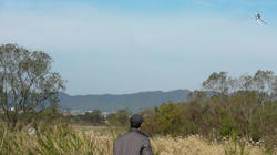 SANY1301-blog.jpg