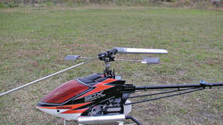 SANY1309.jpg