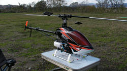 SANY1474-blog.jpg