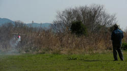 SANY2081-blog.jpg