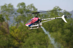 IMG_7184.jpg