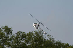 IMG_7248.jpg