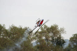 IMG_8714_BLOG.jpg