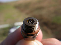 RIMG0086h.jpg