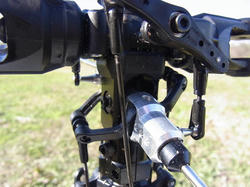 RIMG0226d.jpg